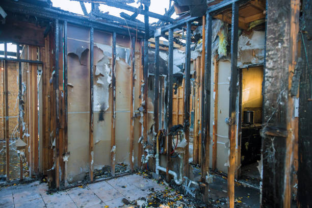 Professional Soot Cleanup technician working in Galatia, IL